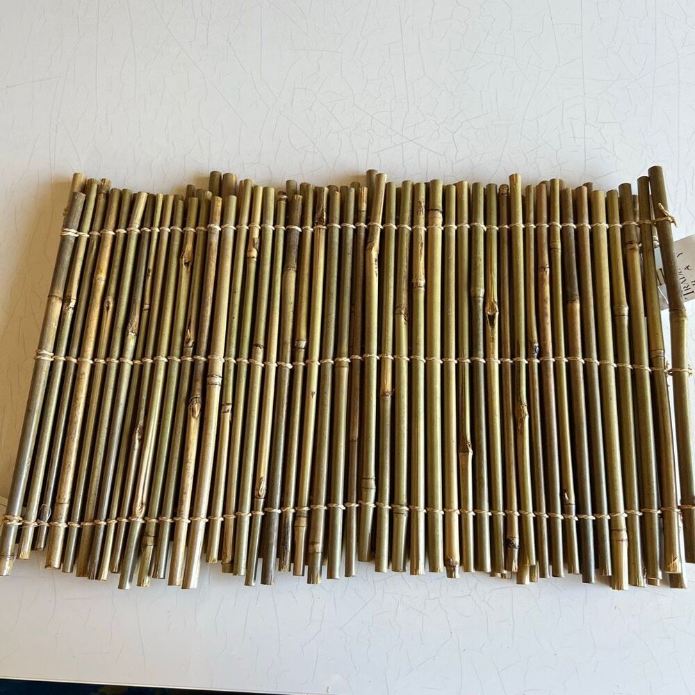 Tradewind bamboo placemats set of two new with tags